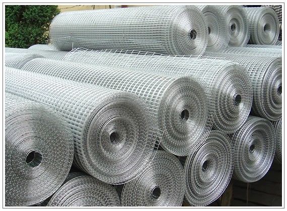 Galvanized Iron Welded Wire Mesh