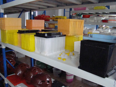 Plastic Motor Battery Case Mould