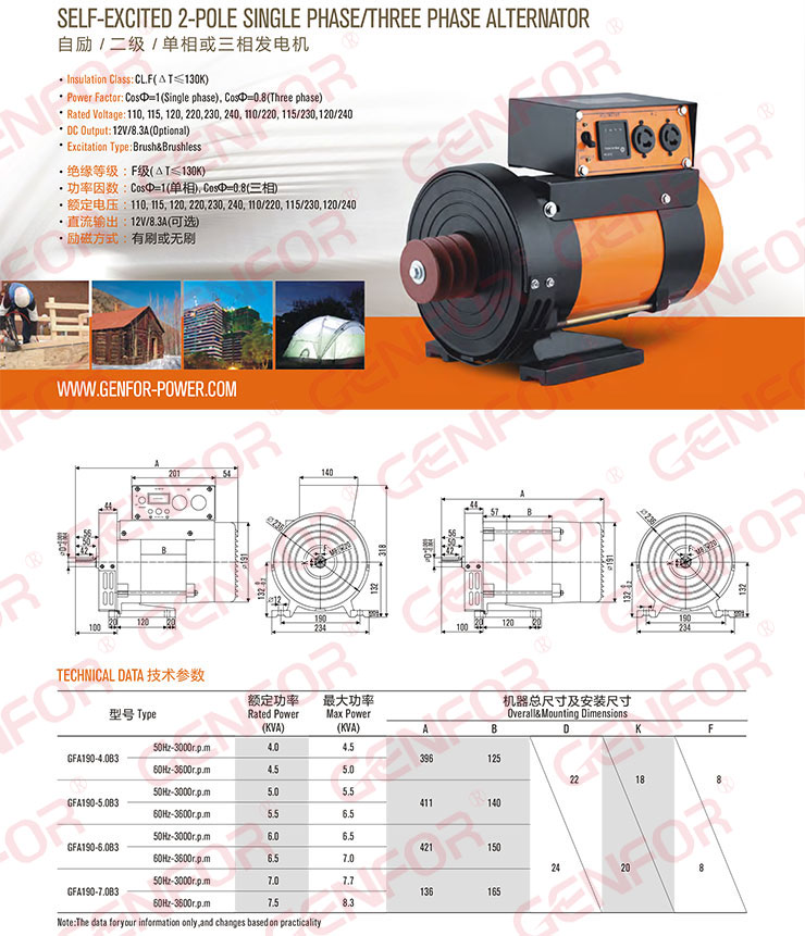 Brush or Brushless Single/Three-Phase 5kw Dynamo with 8.3A DC Output