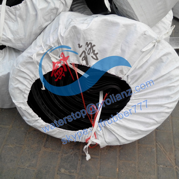 China Waterproofing Rubber Waterstop to Honduras