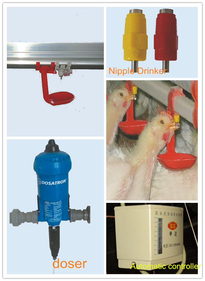 Full Set Automatic Poultry Equipment for Broiler