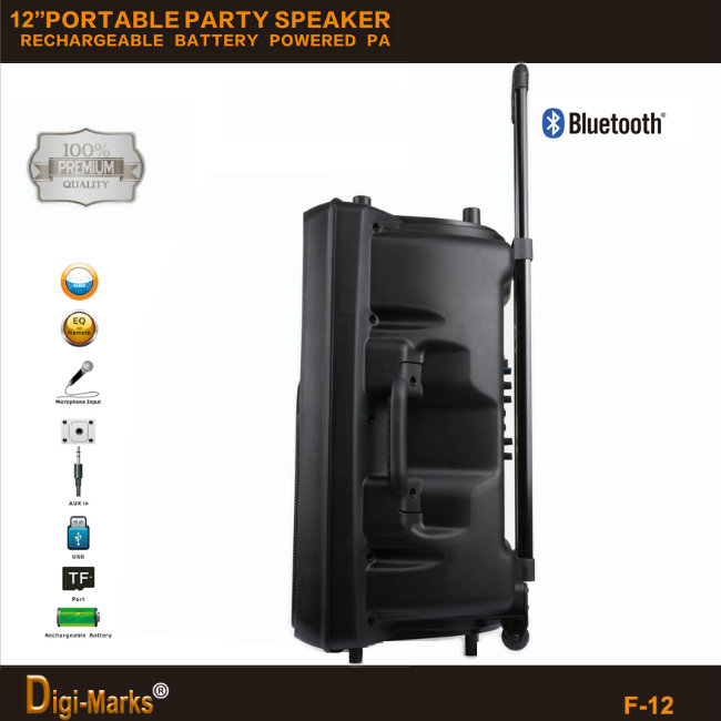 FCC Ce Karaoke Bluetooth FM Mini Trolley DJ Passive Speaker
