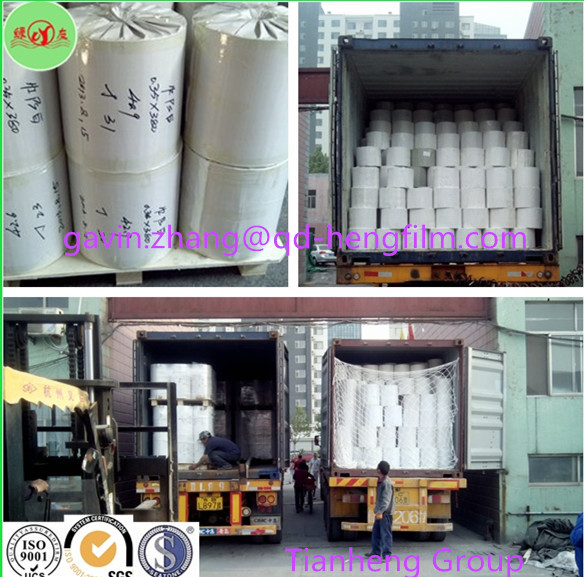 HIPS Rigid Plastic Film for Vacuum Thermoforming Package, HIPS Roll