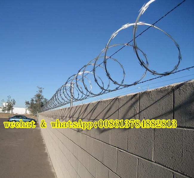 Hot-Dipped Galvanized Concetina Razor Wire Cbt 65