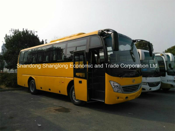 China 9 Meters Passenger Van with 37-43 Seats