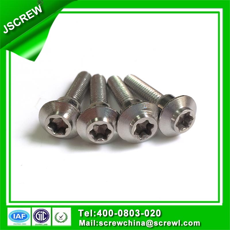 Button Head Stainless Steel Torx Special Screw