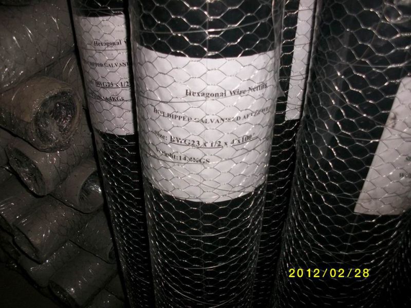 Hexagonal Wire Mesh/Netting 0.6mmx1/2''