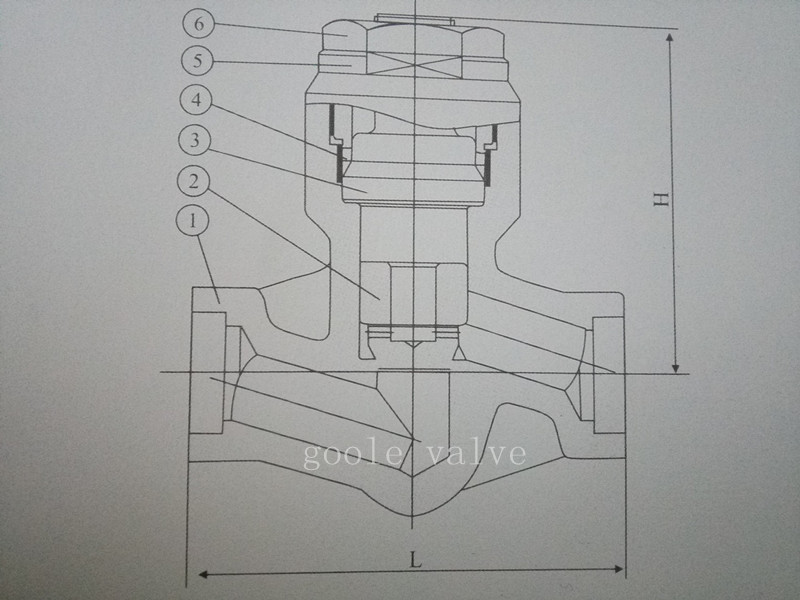 Forged Steel Pressure Seal Piston Check Valve (GAH61H)