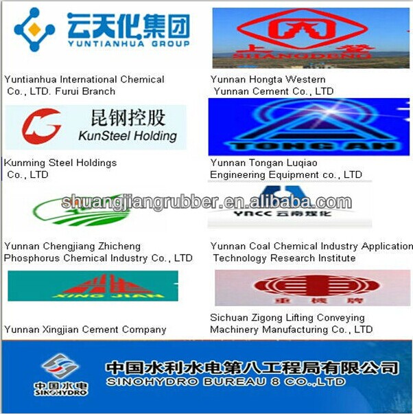 Hot Sale Acid-Alkaline Resistant Conveyor Belt (EP150/CC-56 conveyor belts)