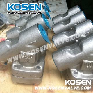 Forged Steel Y Type Strainer (YG11)