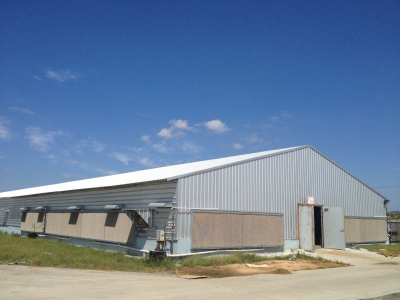 Insulated Steel Structure for Workshop &Prefabricated Steel Warehouse