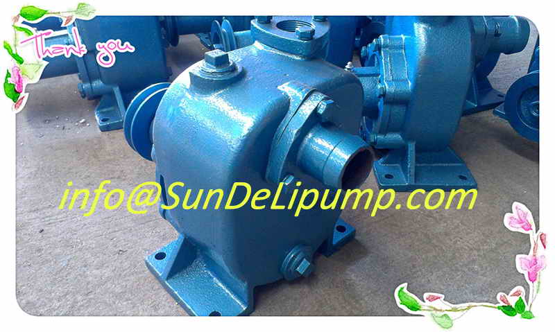 Marine Pump for Sea Water China