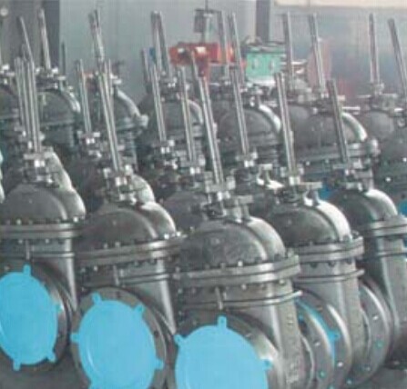 Cast & Forged Rising Stem Gate Valve