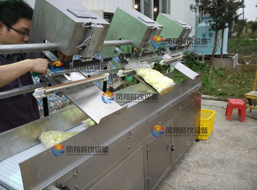 Pcl Control Streamlined Vacuum Packing Machine with Gas Flushing Function