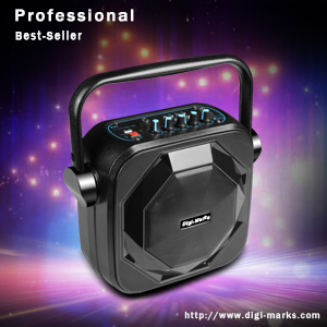 Mobile Portable Wireless USB FM Mini Bluetooth Multimedia Active Speaker