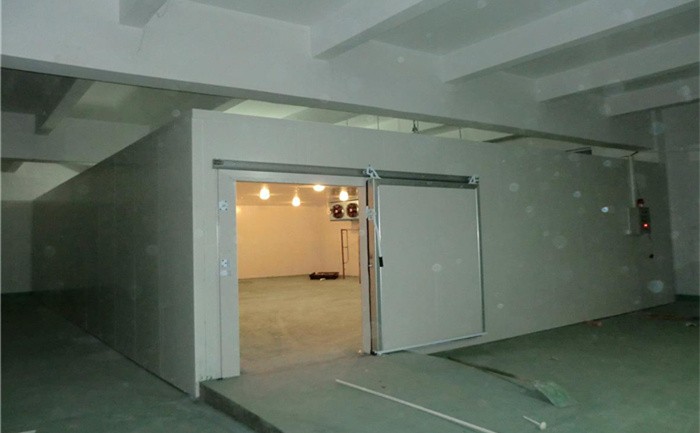 High Quality Cold Storage Room