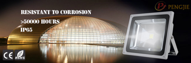 50W Hot Sale LED Flood Lighting with CE RoHS (PJ1007)