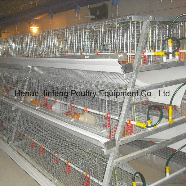 a Type Auutomatic Broiler Poultry Equipment Chicken Cage with High Quality