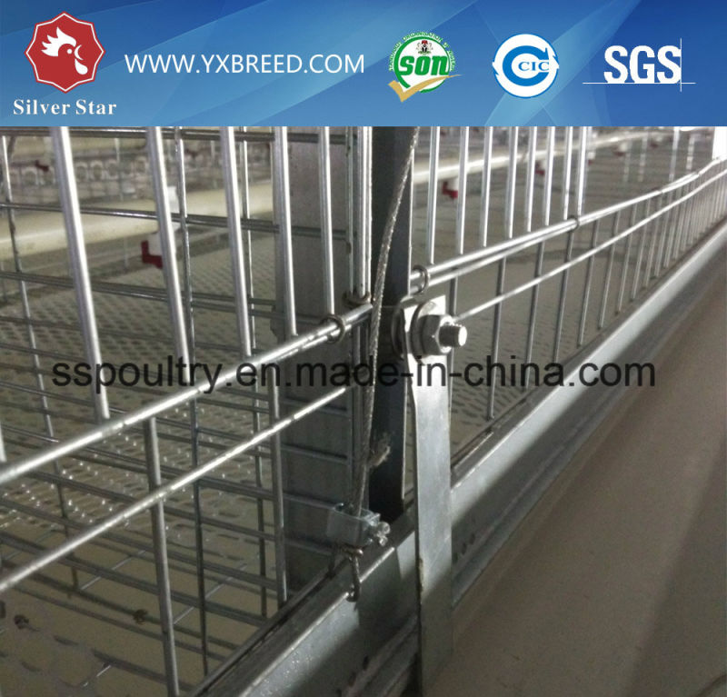 Best Sale Layer Cage for Big Farm to Use