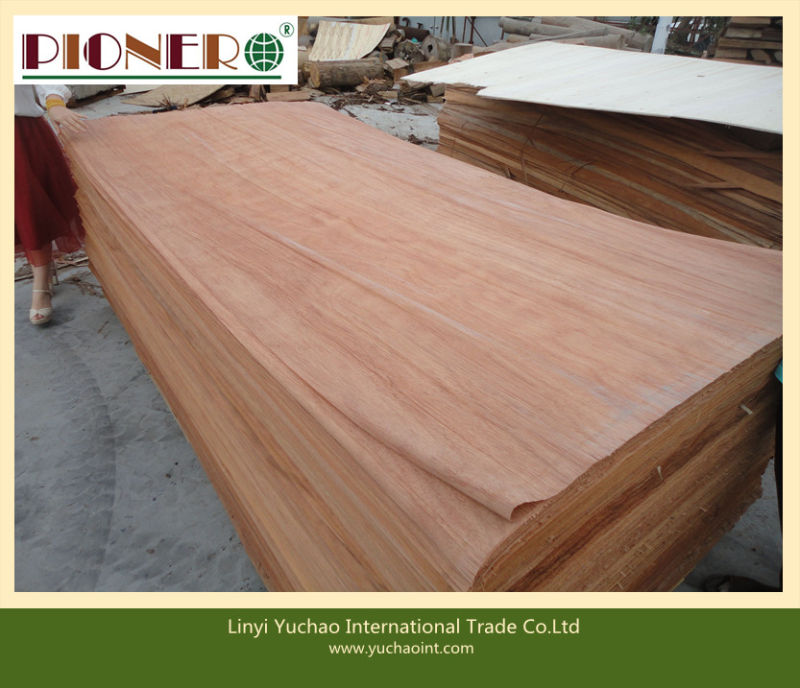 Two Molding Furniture Grade Commercial Plywood with Bintangor Face