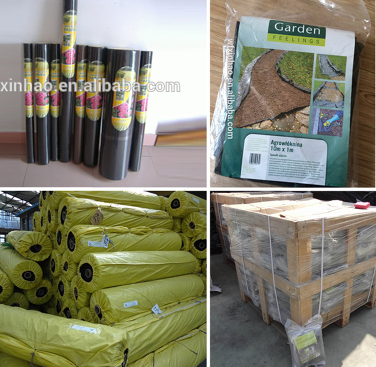 PP Woven Weedmat with 70-180GSM From Factory