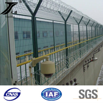 Hot Sale Razor Barbed Wire Mesh Fence