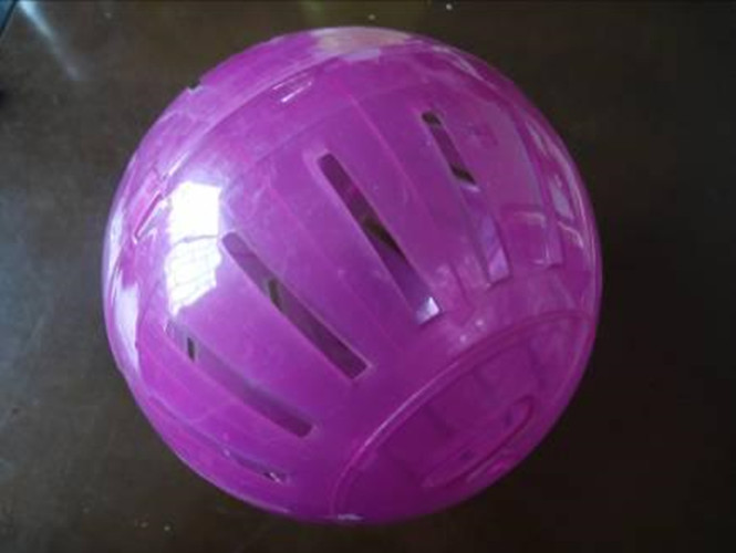 Dog Toy, Medium Hamster Ball, Pet Toy