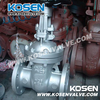 DIN F7 Rising Stem Gate Valve (Z41)