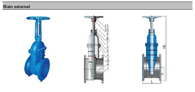 Fitefighting Rising Stem Gate Valve (Z41X)