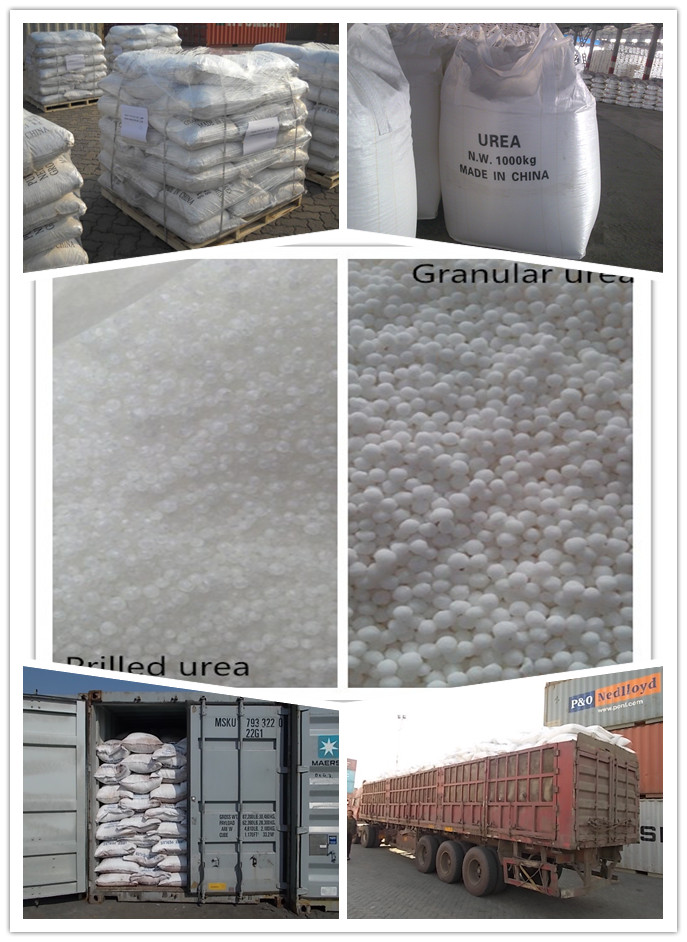 Urea Fertilizer with ISO and SGS Certificate