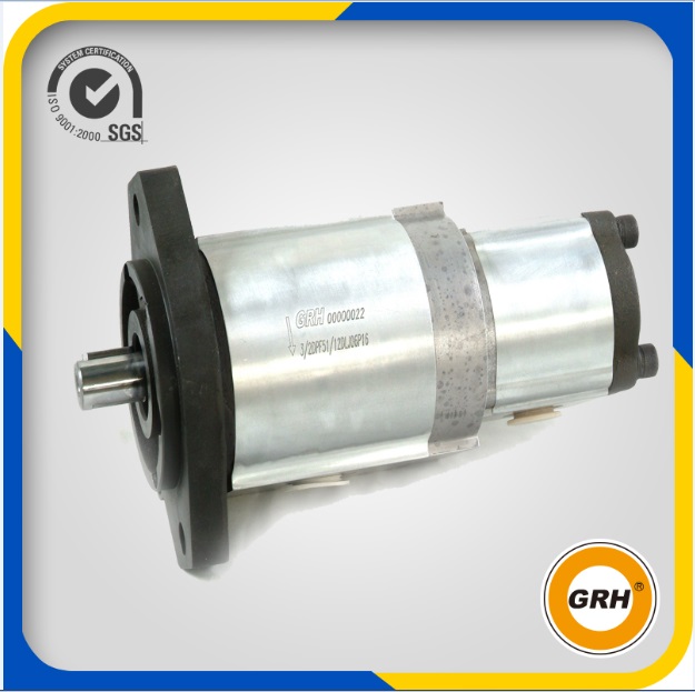 Double Gear Pump for Hydraulic Gear Pump