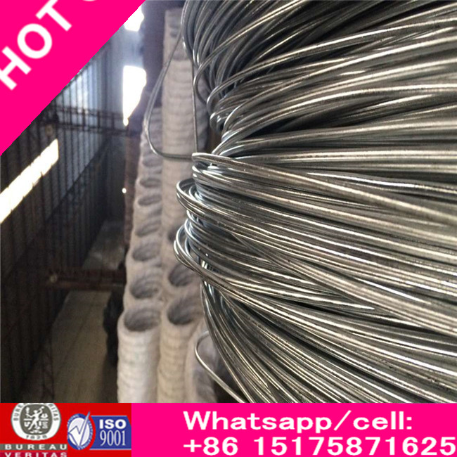 Q195 Zinc Galvanized Steel Wire Bright From Wire Manufactur