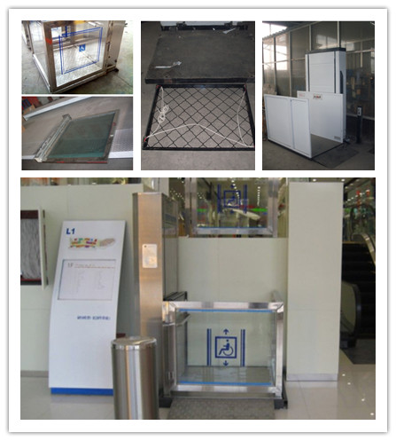 Sjd0.25-3 Wheelchair Lift Platform with Low Price