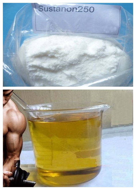 Muscle Builder Weight Loss Homebrew Steroids Testosterone Sustanon