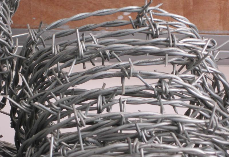 Galvanized Barbed Wire for Fence