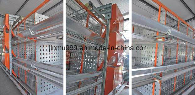 Automatic/Semi-Automatic Poultry Battery Chicken Cage for Longer Use with High Quality