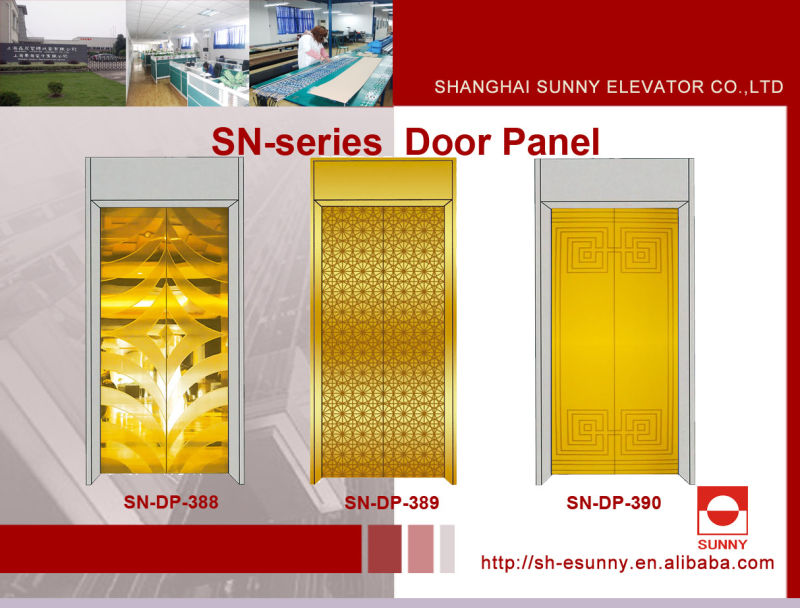 Elevator Door Panel with Etching Stainless Steel (SN-DP-319)