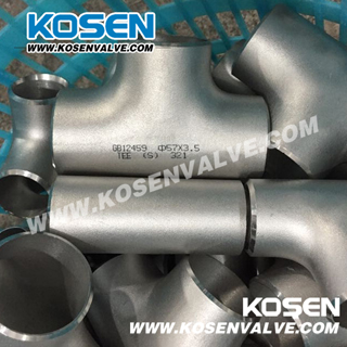 Stainless Steel Pipe Fittings (Tee)