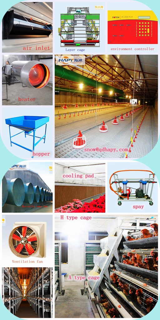 Automatic Machinery for Poultry House From China Manufacturer 2016