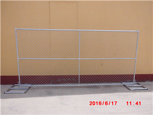 Galvanized Hexagonal Wire Mesh / Chicken Wire Mesh