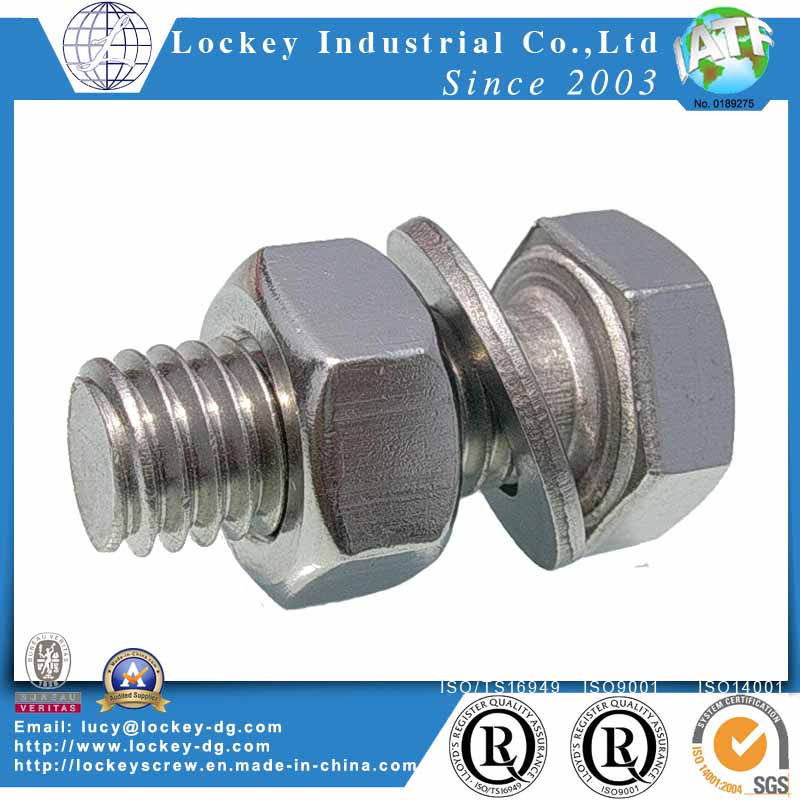 Stainless Steel Hex Bolt with Hex Nut and Washer