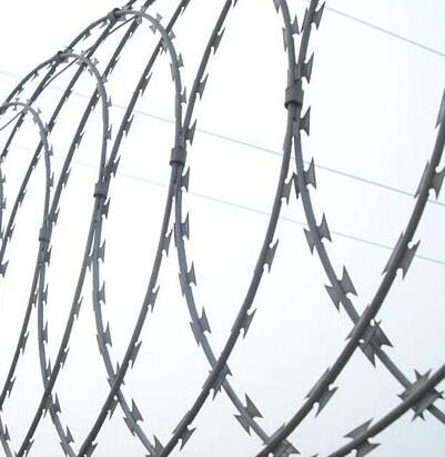 Galvanized Barbed Wire