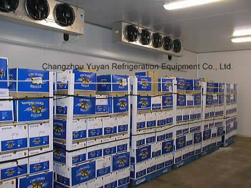 Cold Room for Vegetable Storage with CE Certificate