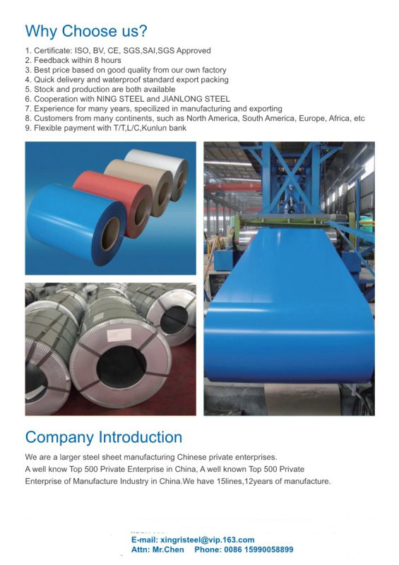 Print/Desinged Prepainted Galvanized Steel Coil