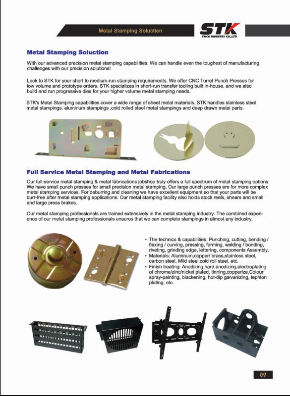 Metal Stamping Hinge (STDD-0005)