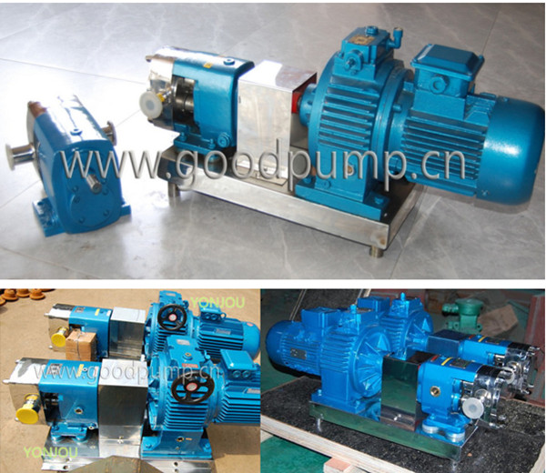 Horizontal Positive Displacement Rotary Lobe Pump, Chocolate Pump, Sugar Transfer Pump