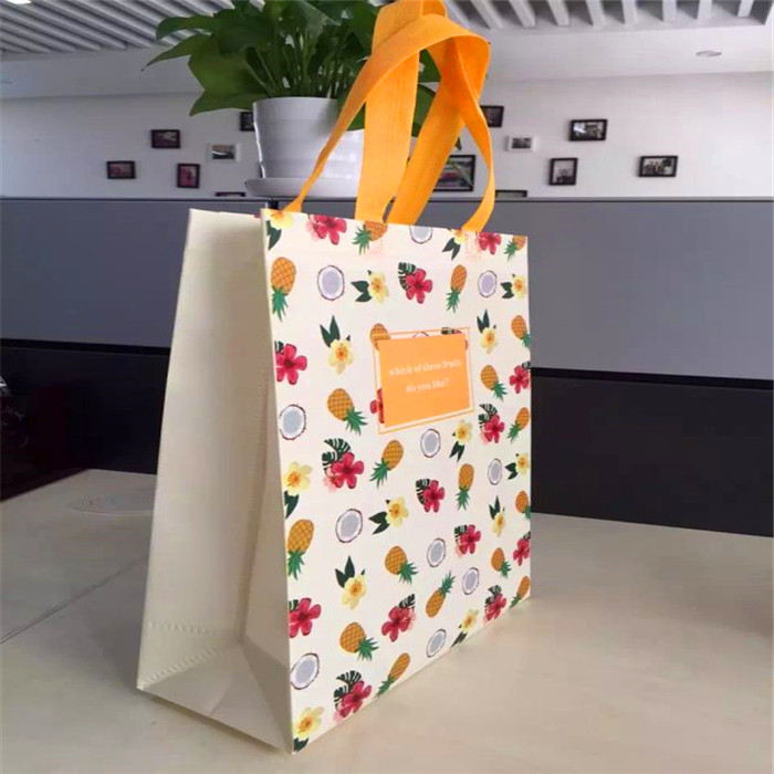 Customized Handle Non Woven Shopping Bag