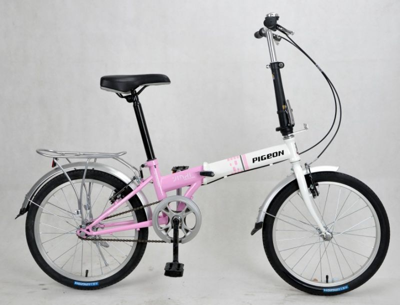 Beautiful Single Speed Folding Bicycles (FP-FDB-D002)