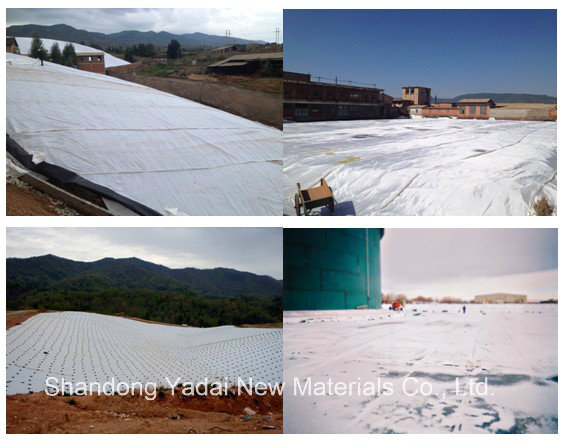 Short Fiber Nonwoven Polyester/ PP Geotextile for Landfill