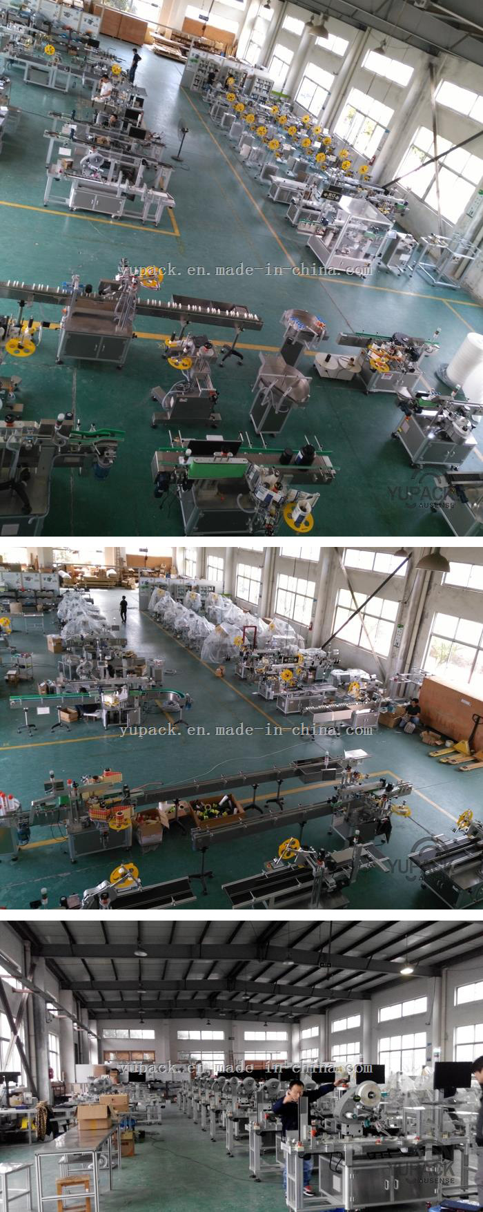 PLC Control Carton Double Side Sealing and Labeling Packing Machine